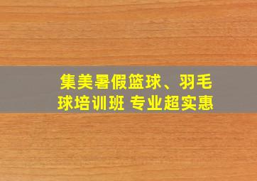 集美暑假篮球、羽毛球培训班 专业超实惠